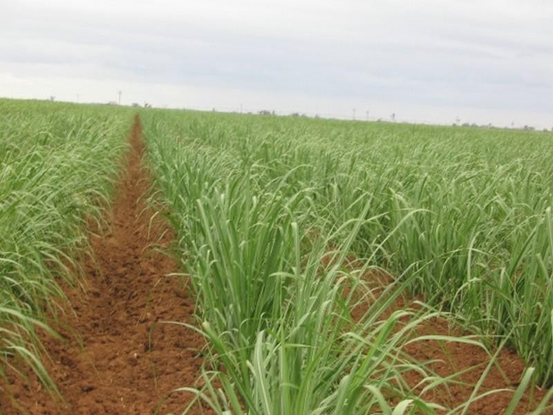 Childers QLD 4660