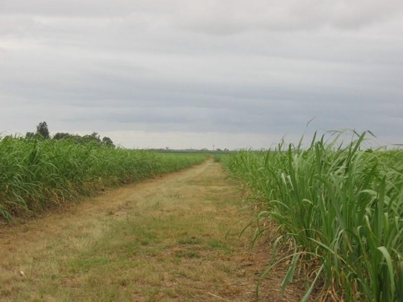 Childers QLD 4660