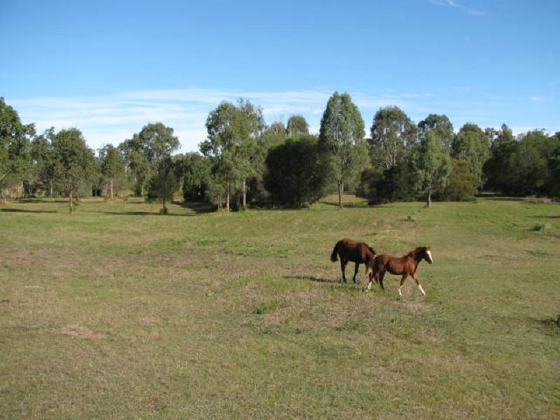 Apple Tree Creek QLD 4660