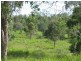 Apple Tree Creek QLD 4660