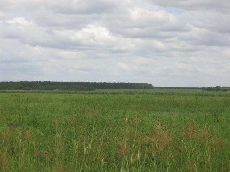 Childers QLD 4660