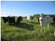 Delan QLD 4671