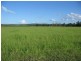 Delan QLD 4671