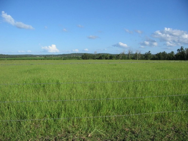 Delan QLD 4671