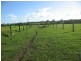 Delan QLD 4671
