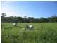 Delan QLD 4671
