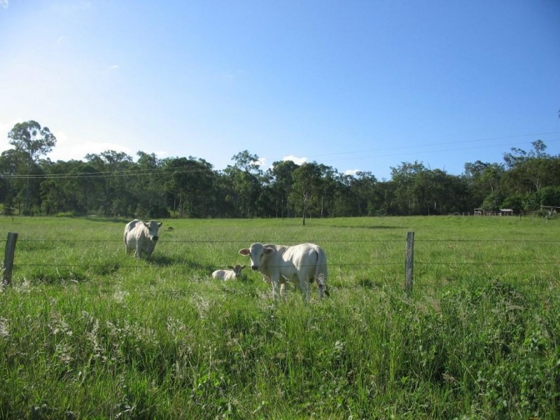 Delan QLD 4671