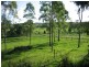 Delan QLD 4671