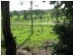 Delan QLD 4671