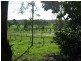 Delan QLD 4671