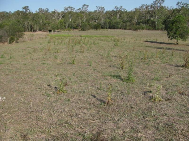 Apple Tree Creek QLD 4660
