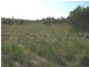 Apple Tree Creek QLD 4660