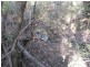 Apple Tree Creek QLD 4660