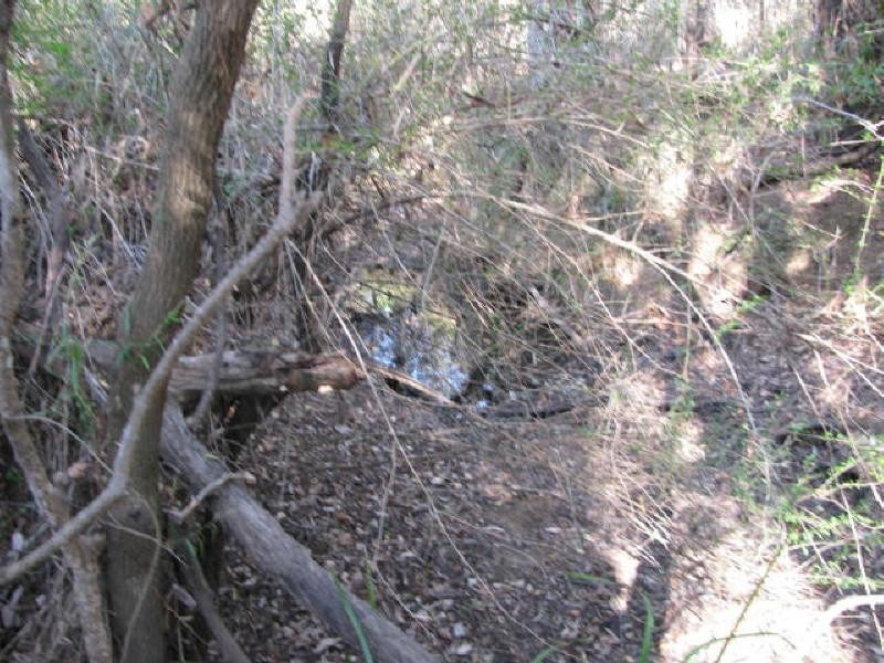 Apple Tree Creek QLD 4660