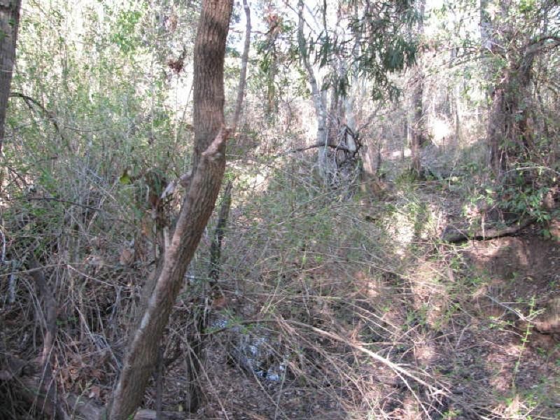 Apple Tree Creek QLD 4660