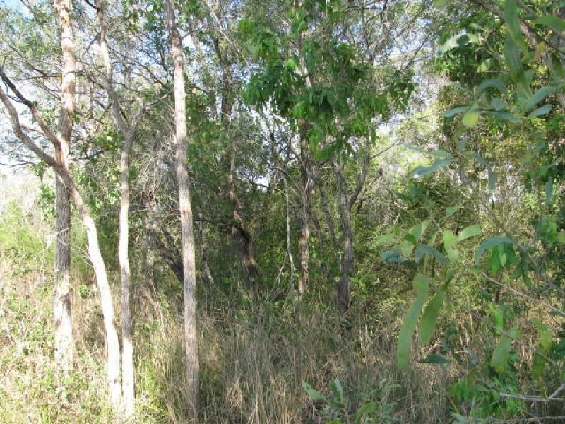 Apple Tree Creek QLD 4660