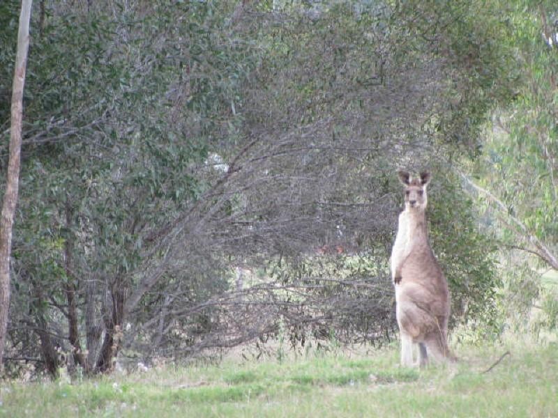 Apple Tree Creek QLD 4660