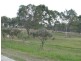 Apple Tree Creek QLD 4660