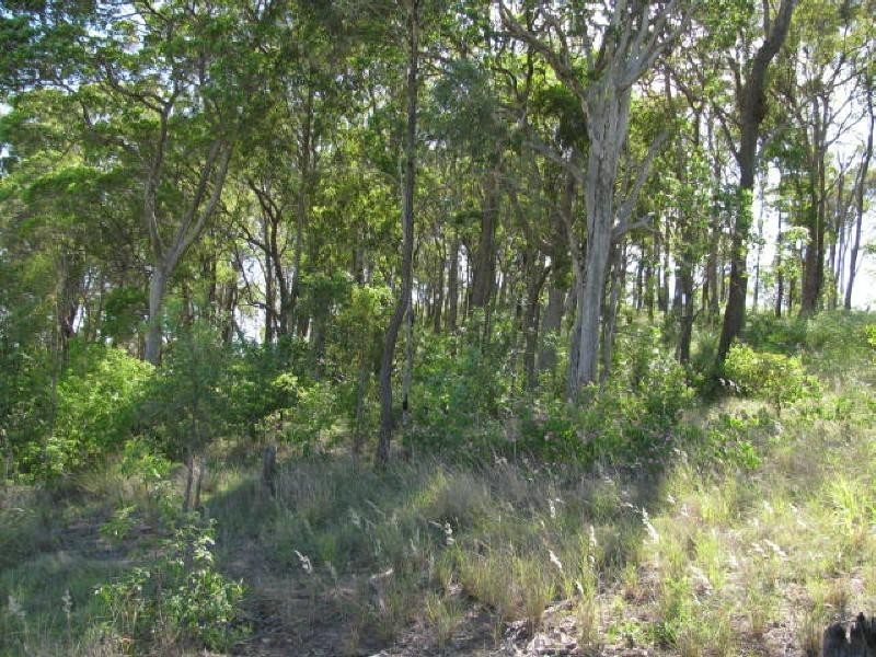 Apple Tree Creek QLD 4660