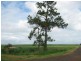 North Isis QLD 4660