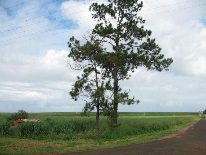 North Isis QLD 4660