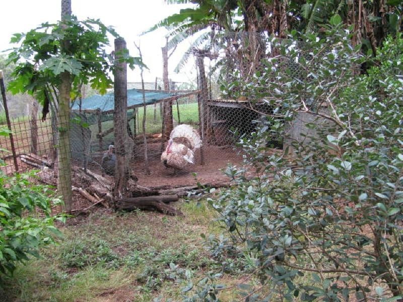 Childers QLD 4660
