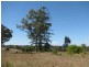 Givelda QLD 4670