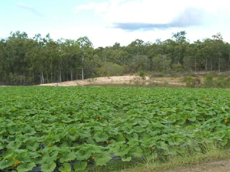 Apple Tree Creek QLD 4660