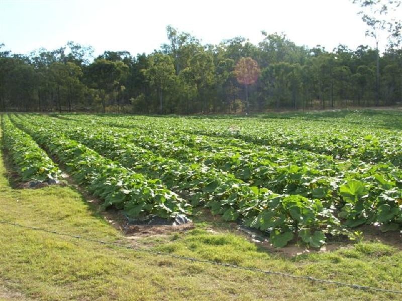 Apple Tree Creek QLD 4660