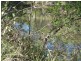 Redridge QLD 4660