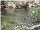 Redridge QLD 4660