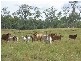 Gin Gin QLD 4671