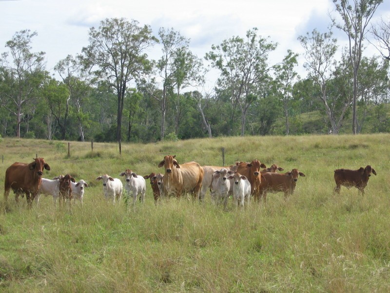 Gin Gin QLD 4671
