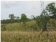 Gin Gin QLD 4671