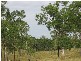 Gin Gin QLD 4671