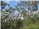 Childers QLD 4660