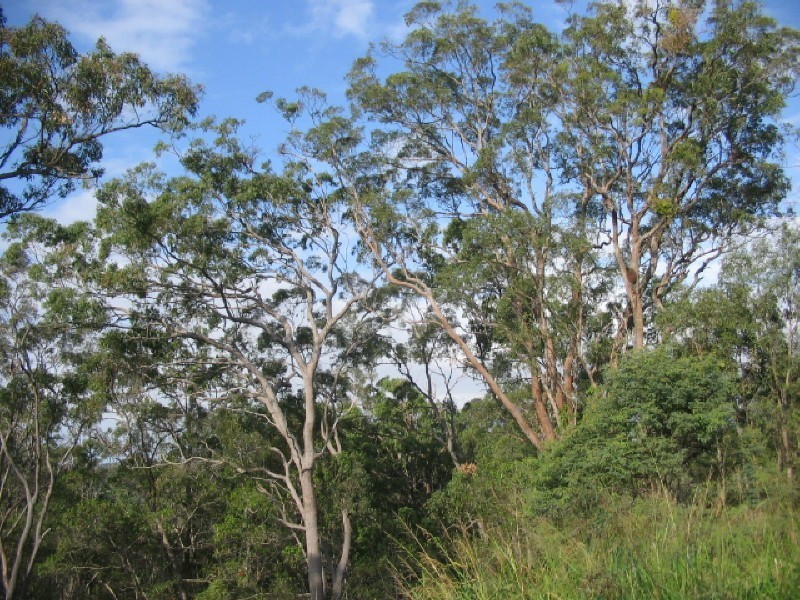 Childers QLD 4660