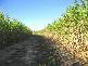 Childers QLD 4660
