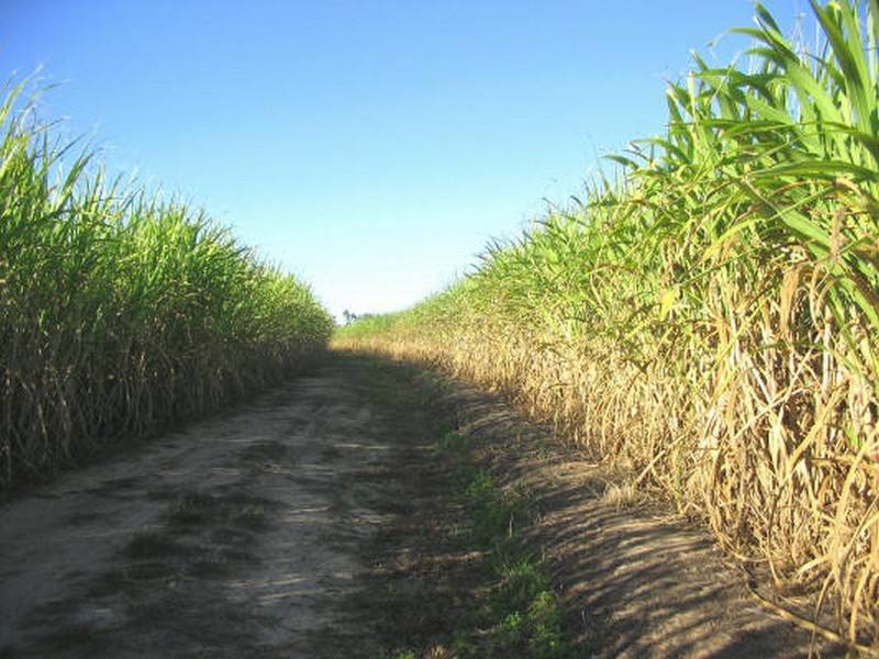 Childers QLD 4660