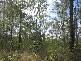 Booyal QLD 4671