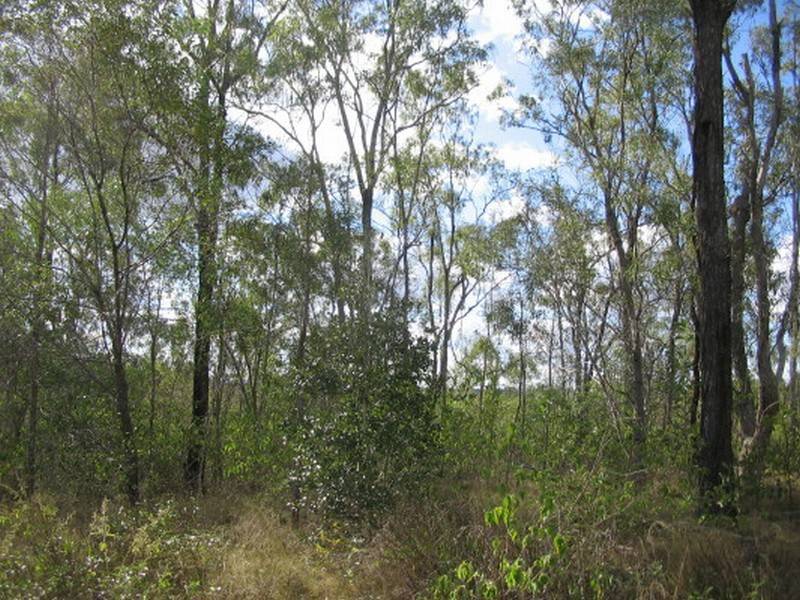 Booyal QLD 4671