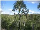 Booyal QLD 4671