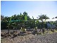 Childers QLD 4660