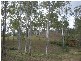 Apple Tree Creek QLD 4660