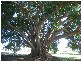 Childers QLD 4660
