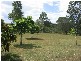 Apple Tree Creek QLD 4660