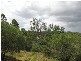 Apple Tree Creek QLD 4660