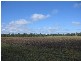 Childers QLD 4660