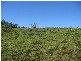 Childers QLD 4660