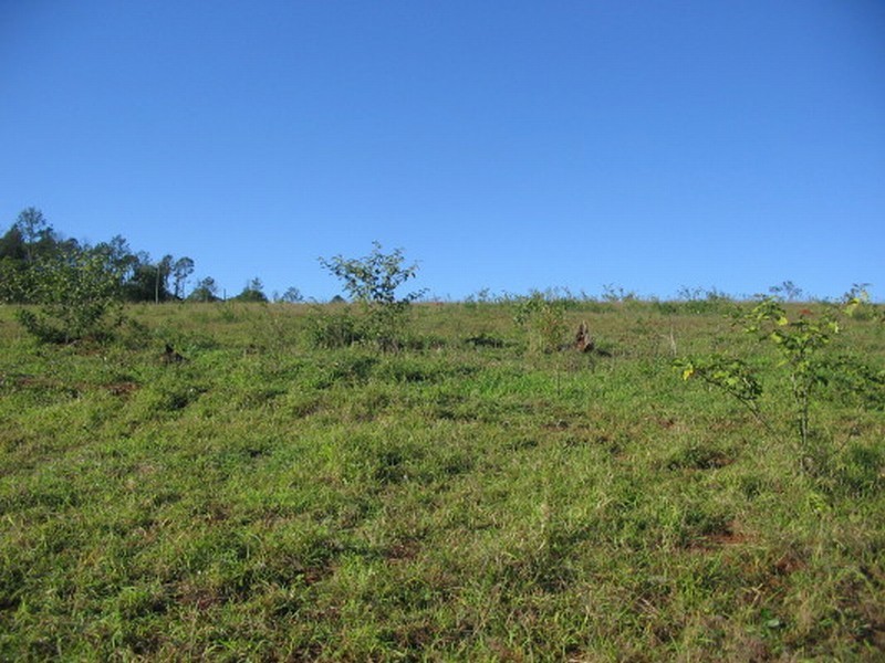 Childers QLD 4660